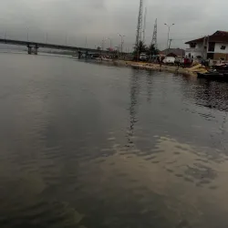 Nembe Creek Mangrove Forest - Yenagoa