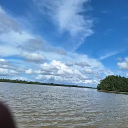 Nembe Creek Mangrove Forest - Yenagoa