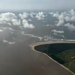 Nembe Creek Mangrove Forest - Yenagoa