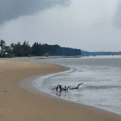 Nembe Creek Mangrove Forest - Yenagoa