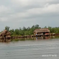 Niger Delta Wetlands - Yenagoa