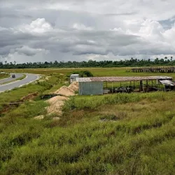 Niger Delta Wetlands - Yenagoa