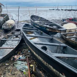 Niger Delta Wetlands - Yenagoa