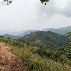 Gashaka-Gumti National Park (near Yola) - Yola