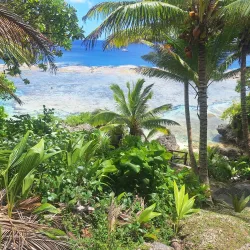 Alofi Foreshore Park - Alofi