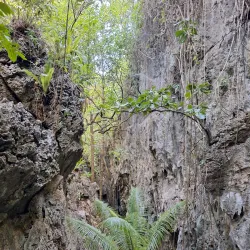 Anapala Chasm - Alofi