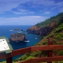 Norfolk Island National Park - Burnt Pine
