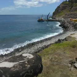 Phillip Island - Burnt Pine