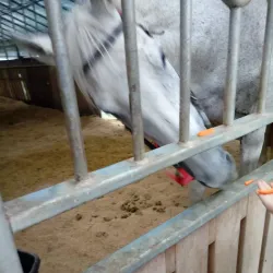 Chunghwa Agricultural Experience Farm - Chunghwa