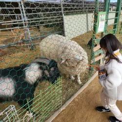 Chunghwa Agricultural Experience Farm - Chunghwa
