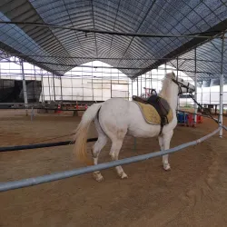 Chunghwa Agricultural Experience Farm - Chunghwa