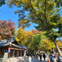 Local Folk Village - Hongwon