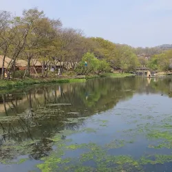 Local Folk Village - Hongwon