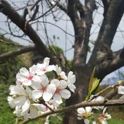 Nearby Islands of Ongjin County - Ongjin