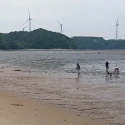 Nearby Islands of Ongjin County - Ongjin