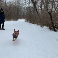 Local Agricultural Fields - Pyoksong