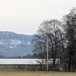 Local Agricultural Fields - Pyoksong