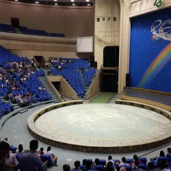 Pyongyang Circus - Pyongyang