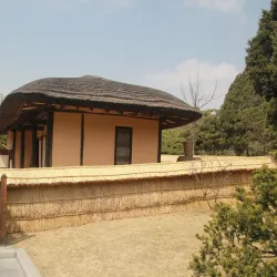 Pyongyang Circus - Pyongyang