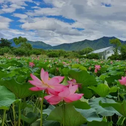Sariwon Botanical Garden - Sariwon