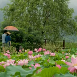 Sariwon Botanical Garden - Sariwon