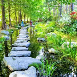 Sariwon Botanical Garden - Sariwon