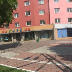 Sariwon Grand Theatre - Sariwon