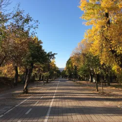 City Park (Gradski Park) - Bitola