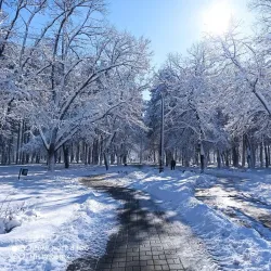 City Park (Gradski Park) - Bitola