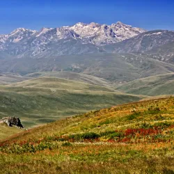 Šar Mountains - Brvenica