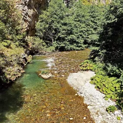 Radika River Canyon - Debar