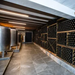 Local Wine Tasting Experiences - Delcevo