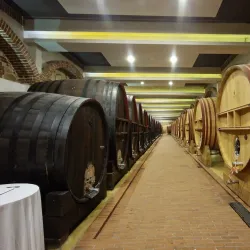 Tikvesh Wine Region - Gevgelija