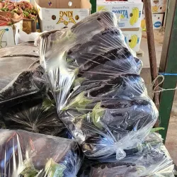 Kumanovo Bazaar - Kumanovo