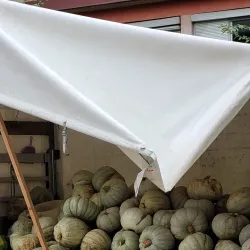 Kumanovo Bazaar - Kumanovo