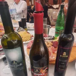 Local Vineyards - Negotino