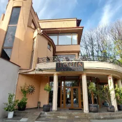 Local Vineyards - Negotino