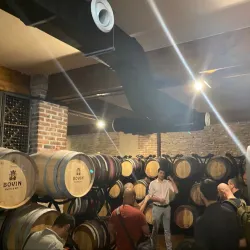 Local Vineyards - Negotino