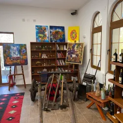 Museum of Tikveš Region - Negotino