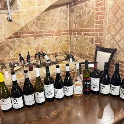 Tikveš Winery - Negotino