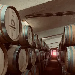 Tikveš Winery - Negotino