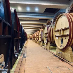 Tikveš Winery - Negotino