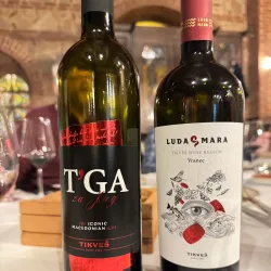 Tikveš Winery - Negotino