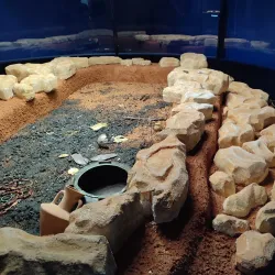 Robevci House - Ohrid