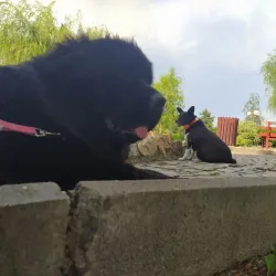 City Park Prilep - Prilep