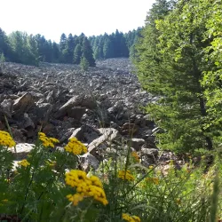 Pelister National Park (near Prilep) - Prilep