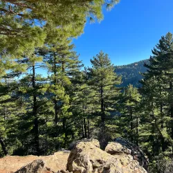 Pelister National Park (near Prilep) - Prilep