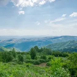 Mount Plačkovica - Radovis