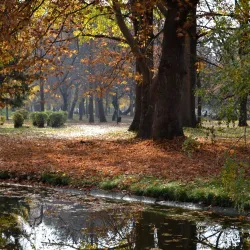 City Park (Gradski Park) - Skopje