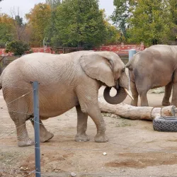 City Park (Gradski Park) - Skopje